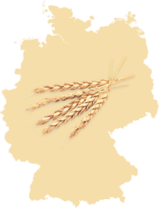 Spelt from South Germany