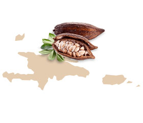 Kakao aus der Dominikanischen Republik