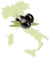 Olive oil from Italy