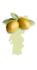 Olivenöl aus Portugal