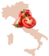 Tomatoes from Italy