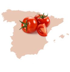 Tomatoes from Spain